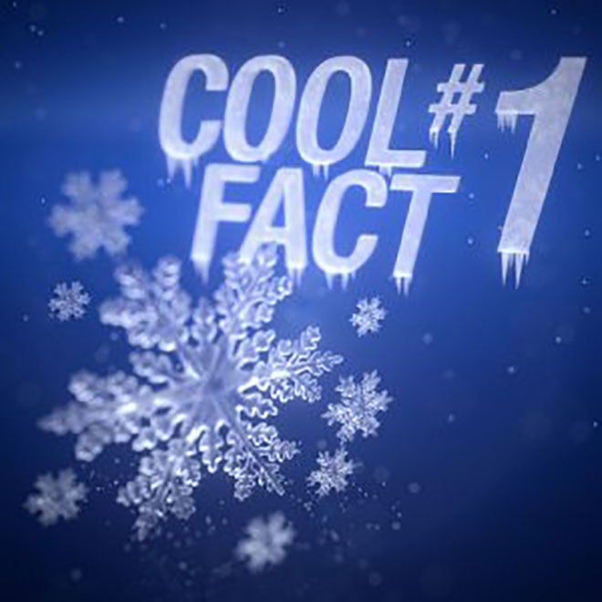 A hó egy csoda Minden hópehely egy kis csoda, amely milliárdnyi jégkristályból álló, egyedülálló képződmény. És mégis minden pehelynek van egy közös vonása: a hat sarok, pontosabban a hatágú szimmetria. Miért? A vízmolekulák mindig 60 vagy 120 fokos szögben helyezkednek el.