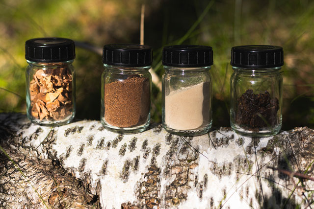 A Nokian piacra dobja a Nokian Tyres Betula koncepcióabroncsot, amely nyírfakéregből készült úttörő alapanyagot tartalmaz